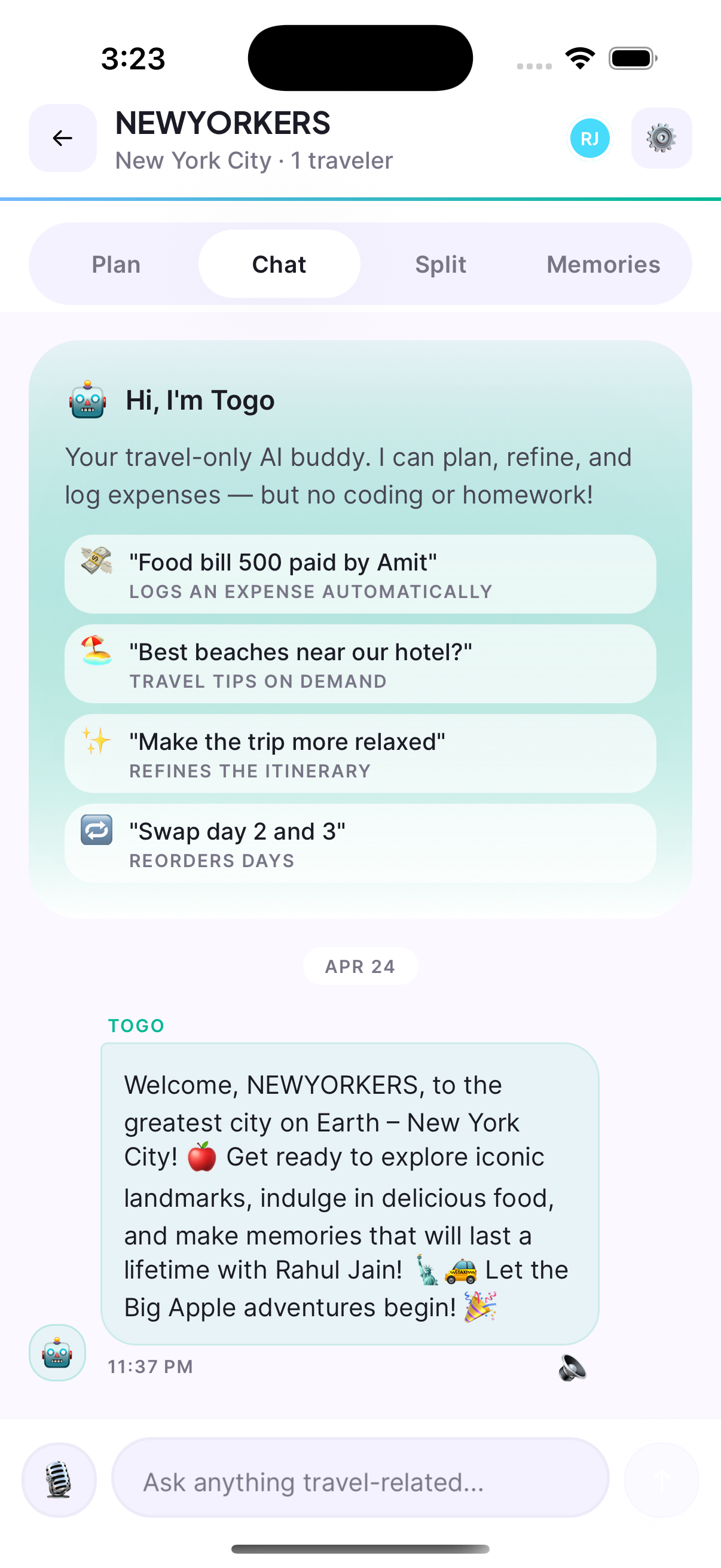 Chat with Togo AI assistant